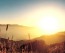 sole nascente tra il grano