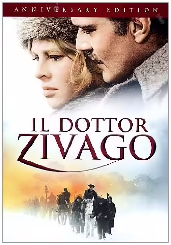 locandina del film